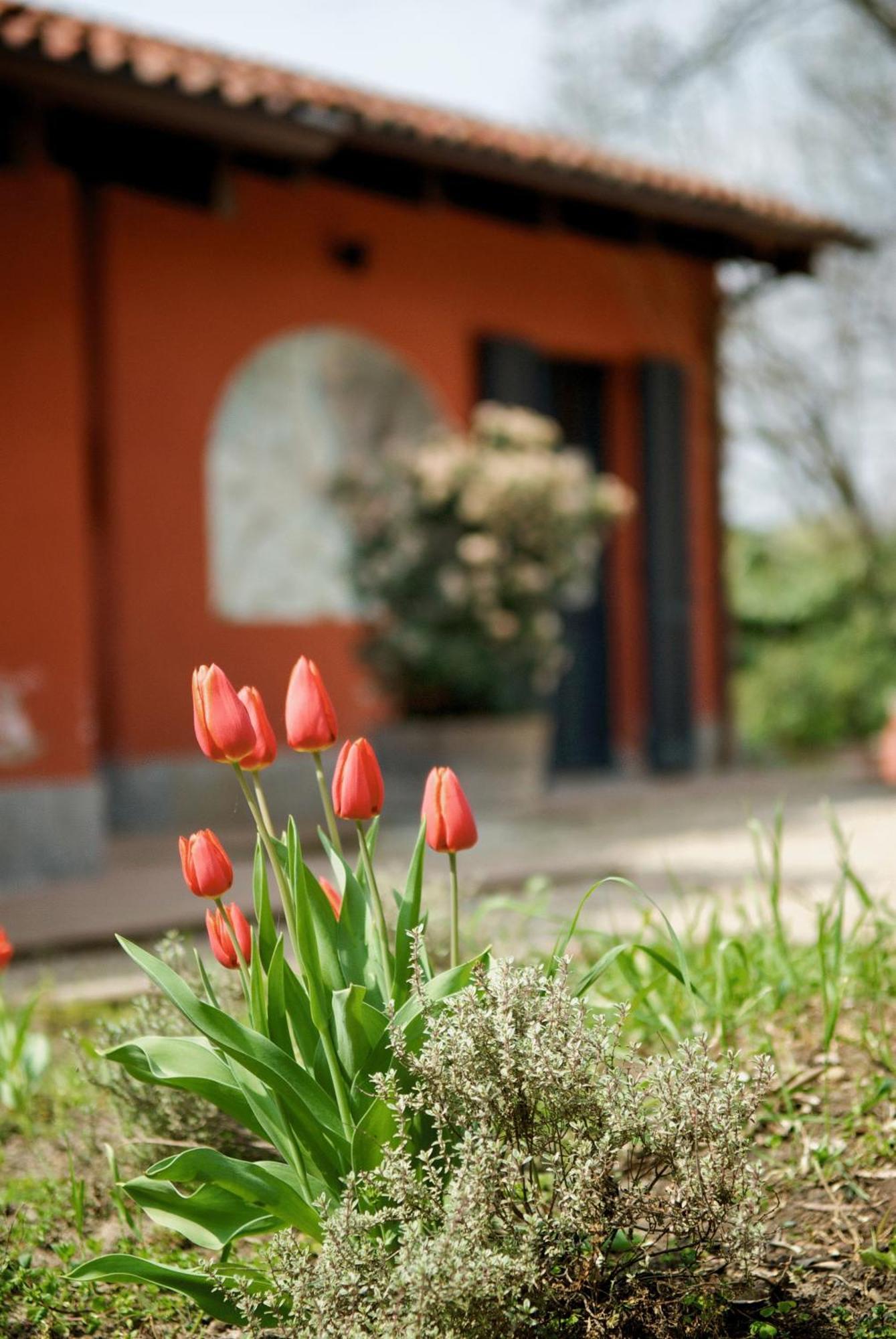 Le Serre Suites & Apartments Moncalieri Kültér fotó